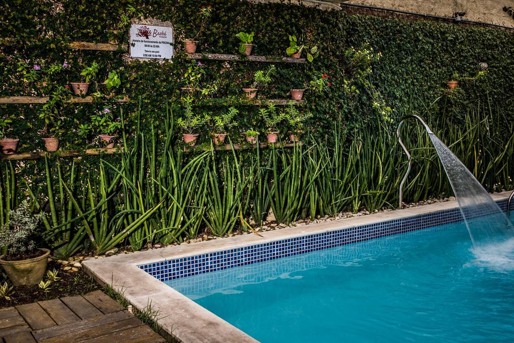 Pousada Baoba E Spa Olinda Buitenkant foto